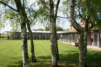 A view of the outdoor kennel block.